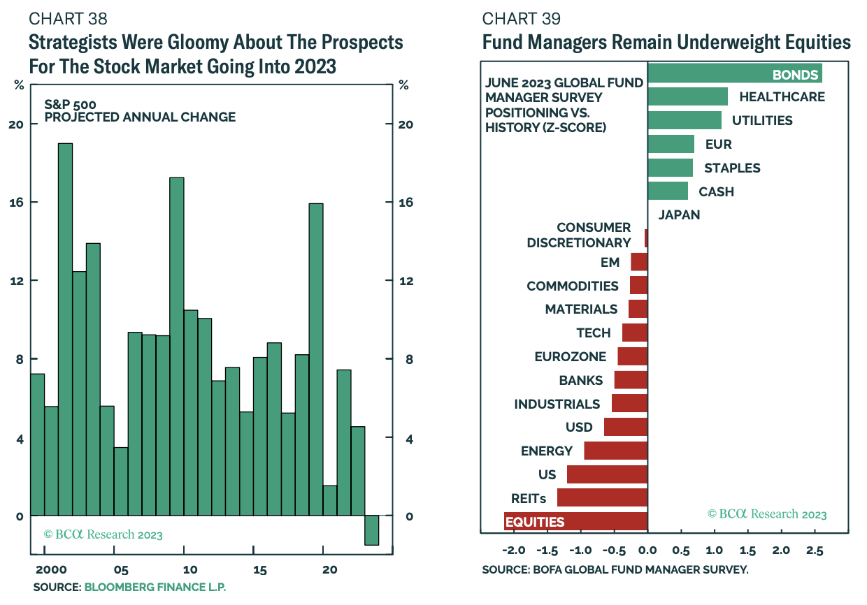 BCA Research correctly predicted the stock market's surge in the first